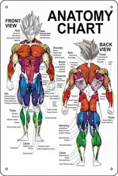 :Anatomy Muscle Chart Diagram Poster Funny Metal Tin Sign for Home Kitchen Bar Room Garage Decor 8