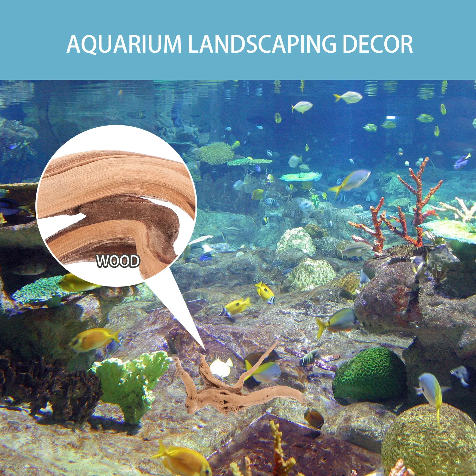 

3pcs Fish Tank Driftwood Natural Realistic Aquarium Decor For Landscaping Reptile Tank Driftwood Craft Aquarium Decors Pet