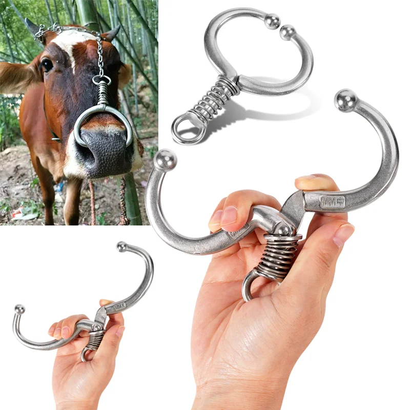 Cattle Bull Nose Ri…