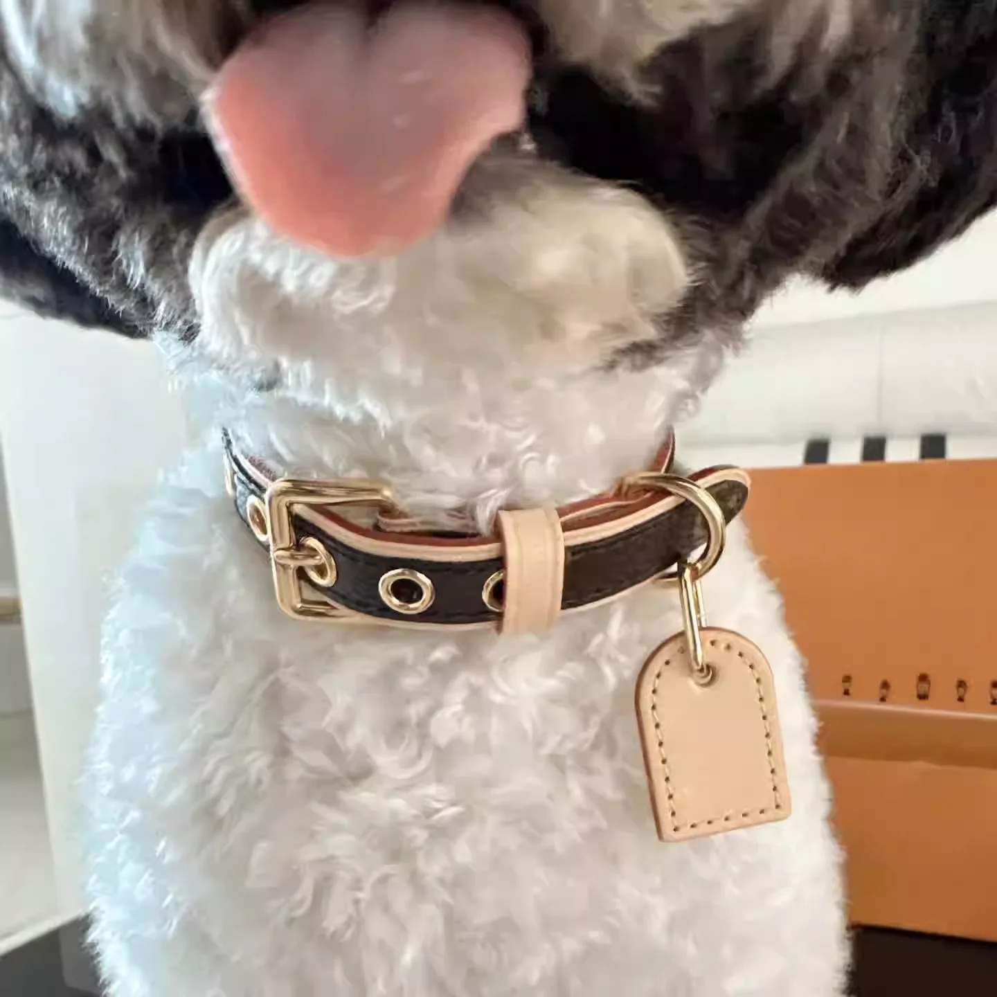 مقود الكلاب الكلاسيكية، أطواق الكلاب الصغيرة والمتوسطة الحجم، حلقات الرقبة Bichon Frise، أغطية الرقبة الحبلية، مستوى المظهر العالي