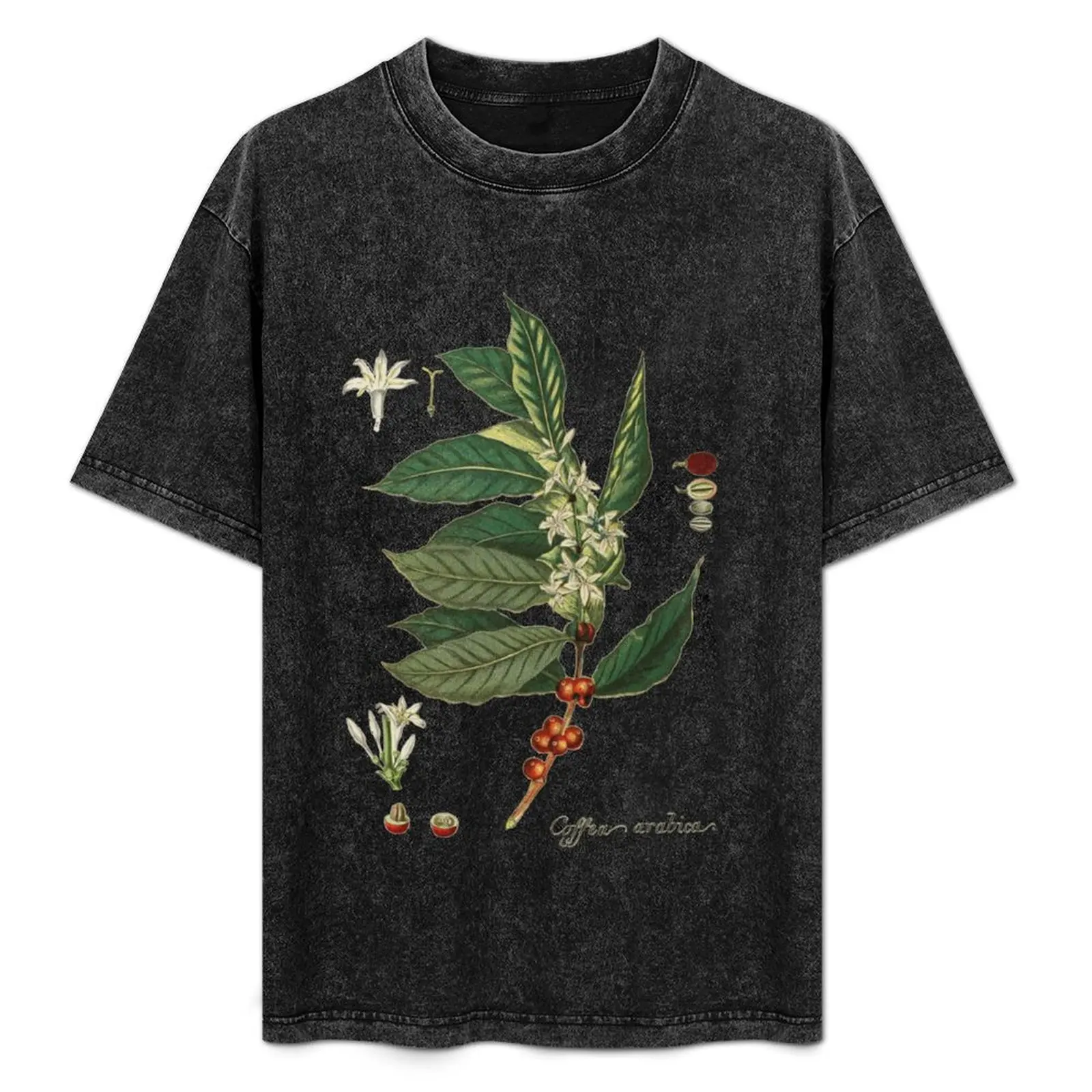 

Coffea arabica T-Shirt Simple Casual Short Sleeve Tee