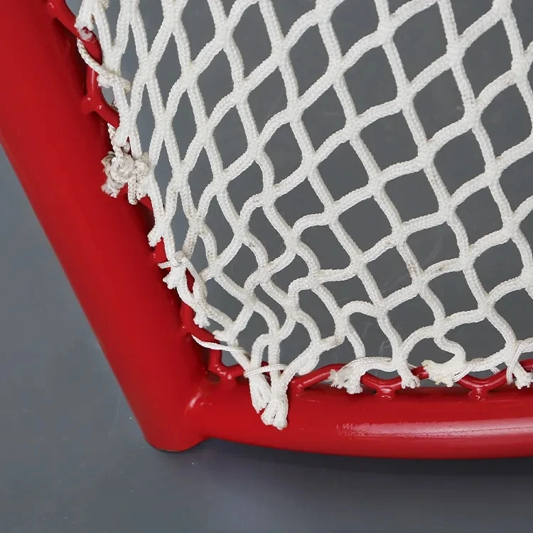 Play professionally carbon steel ice hockey net with hockey gates