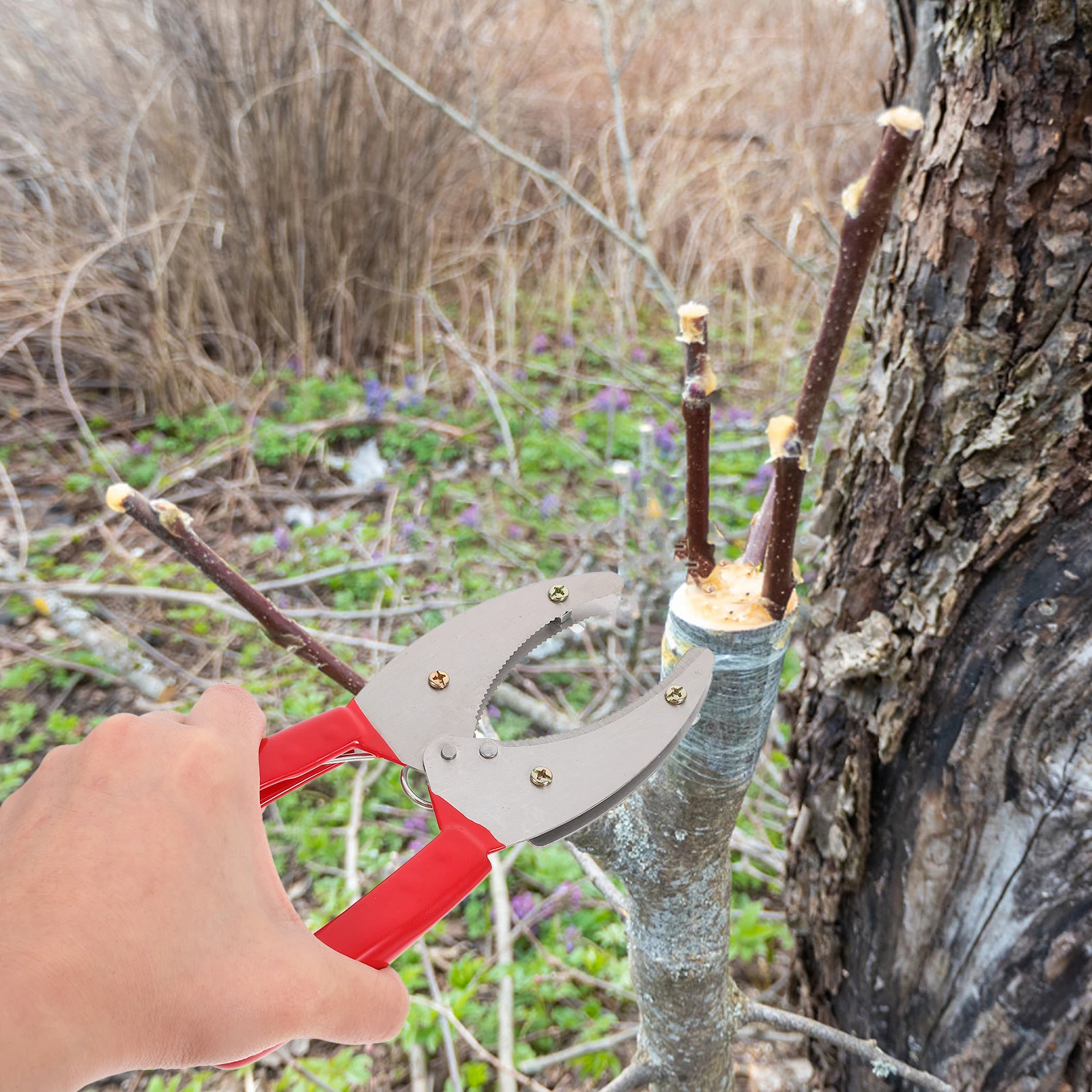 

Cutter Adjustable Girdling For Fruit Tree Durable Bark Stripping Planting Hand Tool Girdling Cutter Fruit Garden