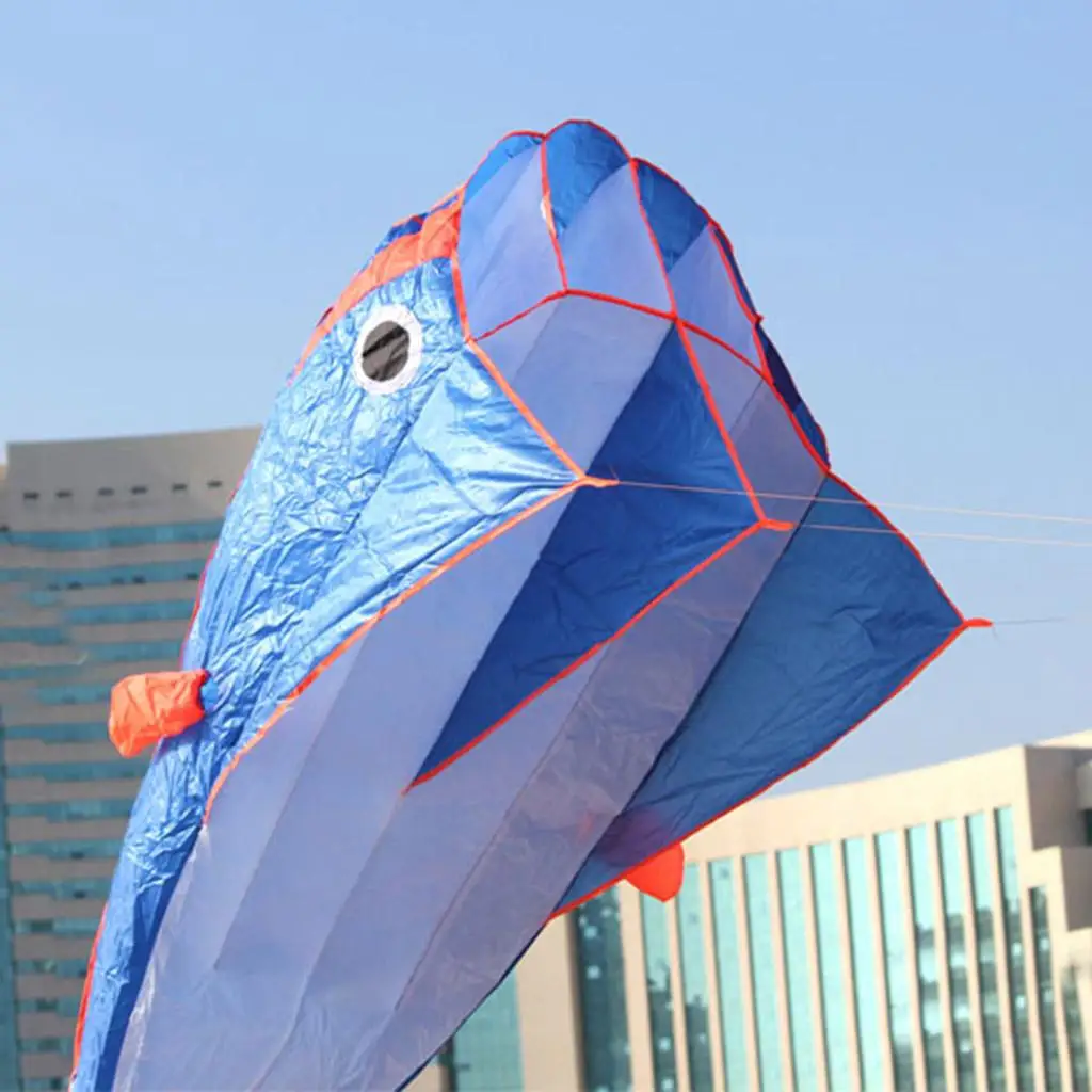 Cometa de delfín gigante para niños, juguete de playa parafoil de mosca fácil, cometas deportivas de viento al aire libre para adultos