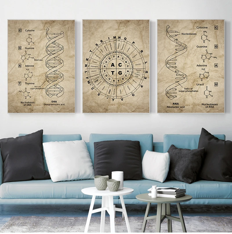 DNA and RNA Genetic Code Wall Art Canvas Painting Prints Genetics Biochemistry Student Gift Vintage Posters Science Wall Decor