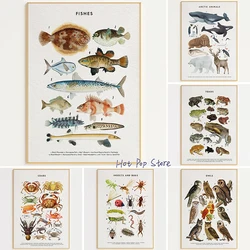 Animals Insects Marine Organisms Illustrations in The Library Poster Canvas Painting Educational Wall Decor Birds Fishes Prints