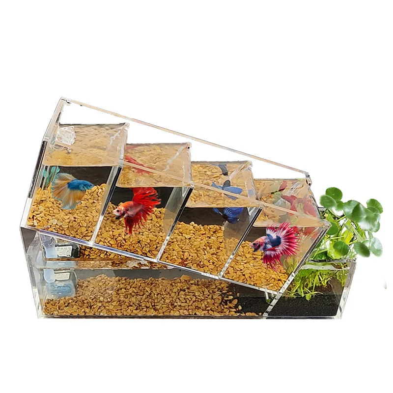 tank-acrylic-desktop-small-fish-tank-multi-grid-isolation-area-self-circulation-filtration-water-free-ecological-tank