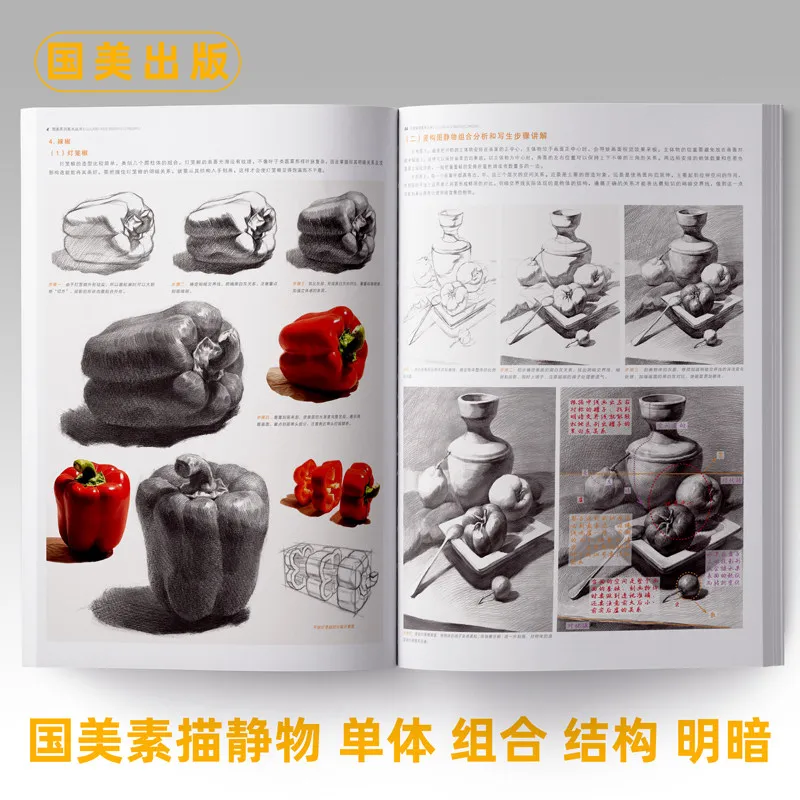 HVV Guomei Sketch Still Life Copy Photo Book Art Textbook for Beginners Exam Preparation 8K Structure Single Object Combination
