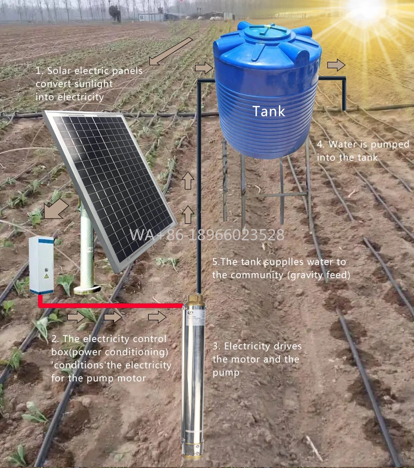 

Water Complete Agriculture Drip Irrigation Pumps Farm 3hp Solar Irrigation Pumps