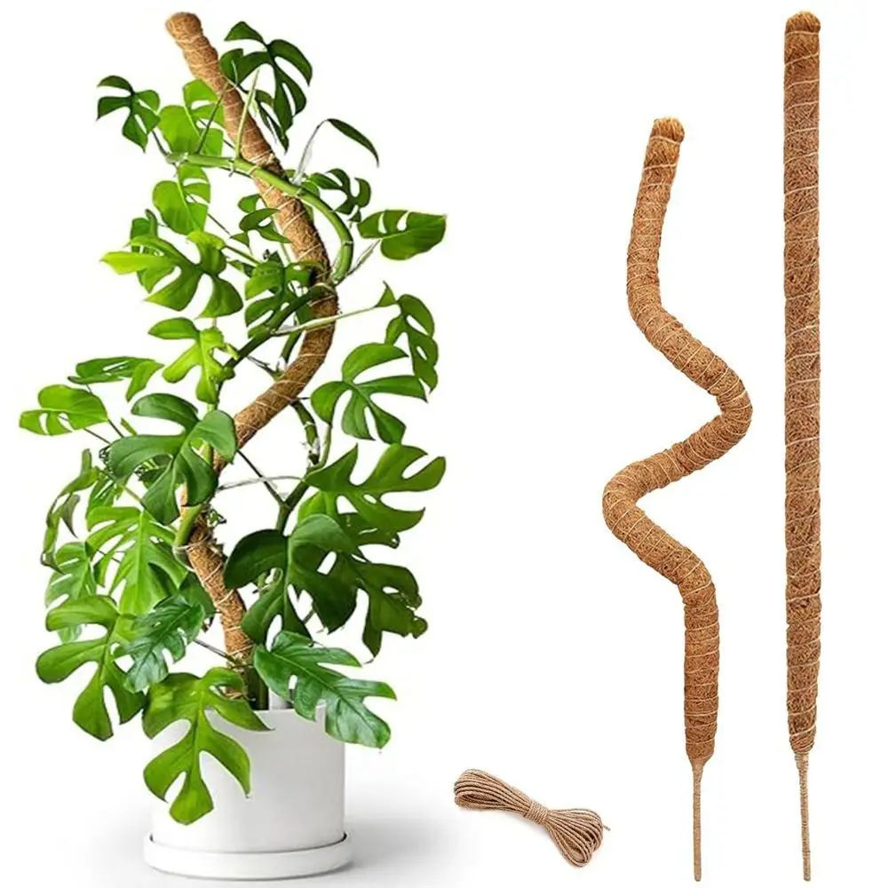 Plant Support Bendable Moss Pole Natural Material Handmade Plant Support Stakes Eco-Friendly Garden Trellis Indoor Plants