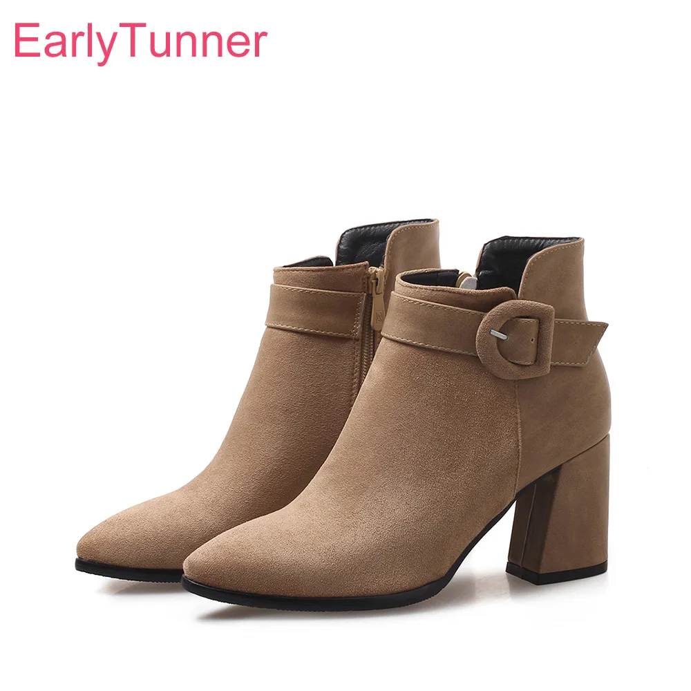 Brand New Winter El… - image