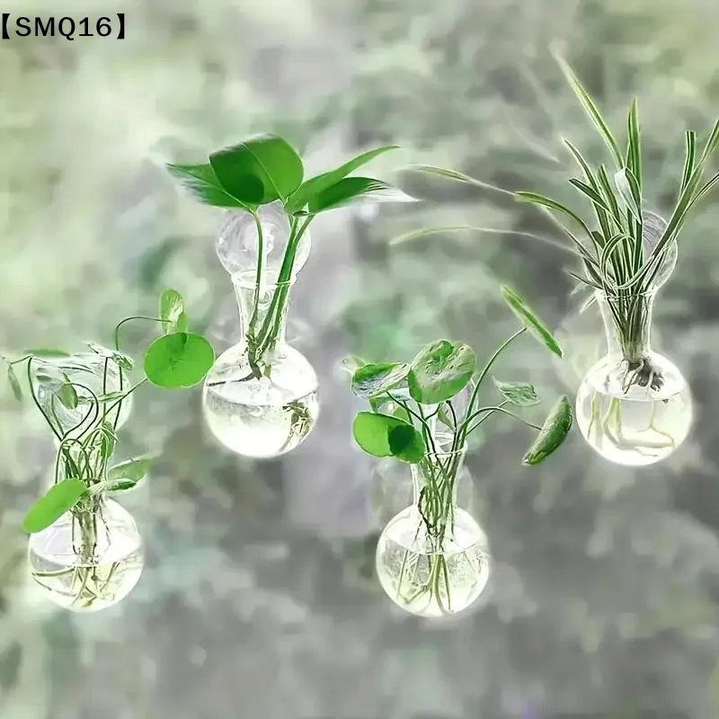 Mini bouteilles murales pour l - Propagation Station Vase avis et prix