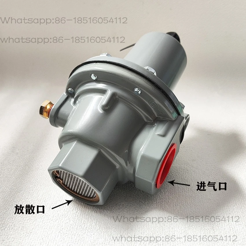 

289HH Safety Relief Valve DN25 Pressure Relief Valve 45-75PSI Import Exhaust Valve