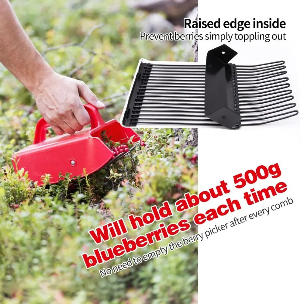 Picking Berry Harvester Scoop Ergonomic Handle Blueberry Picker Scoop Design Picker Tool Huckleberry Picker Fruit Harvesting