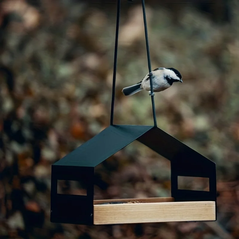 Thumbnail 3 - #44 Best Bird Feeders to Buy In 2026