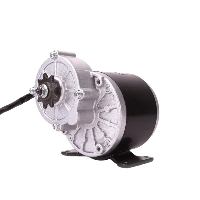 

Motor Permanent Magnet DC Deceleration Brushed Motor Agricultural Machinery Generator 250W24V36V MY1016Z2