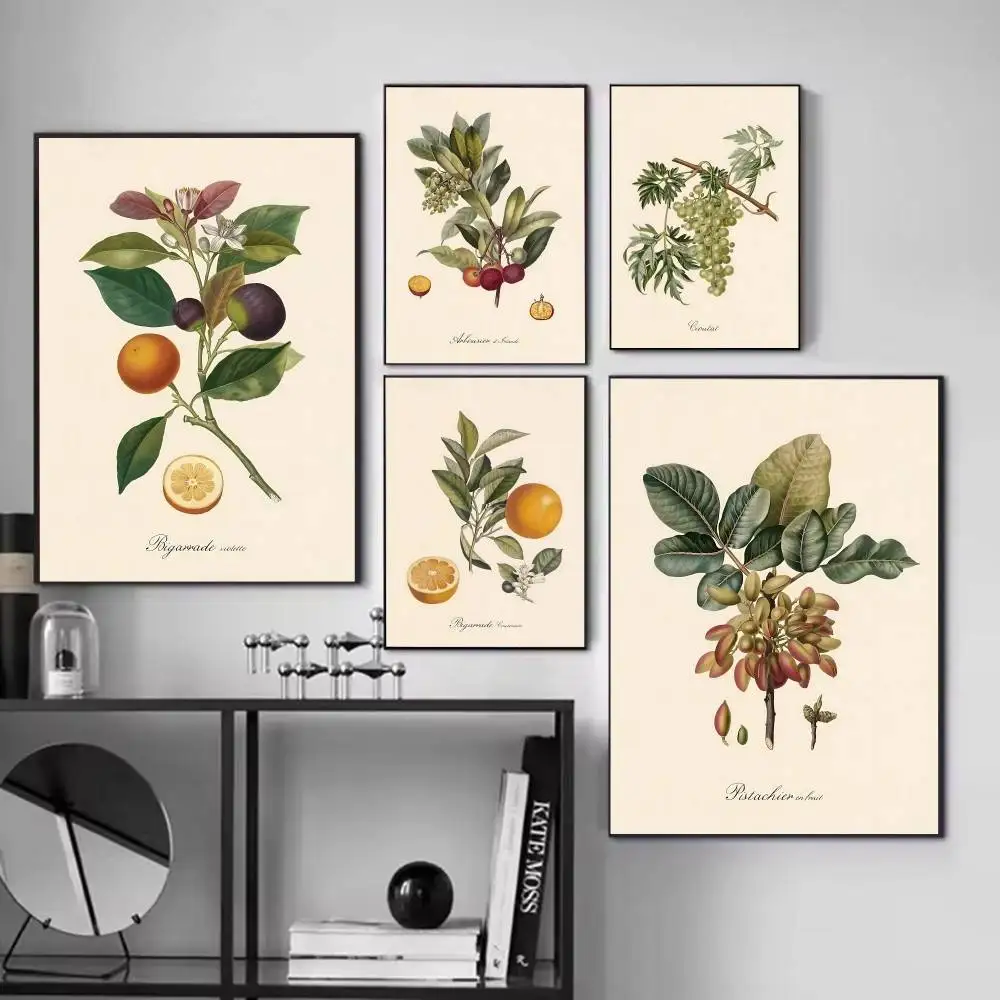 1pc Vintage Botanical Fruit Lemon Prune Orange Posters Fancy Wall Sticker for Living Room Bar Decoration Wall Decor
