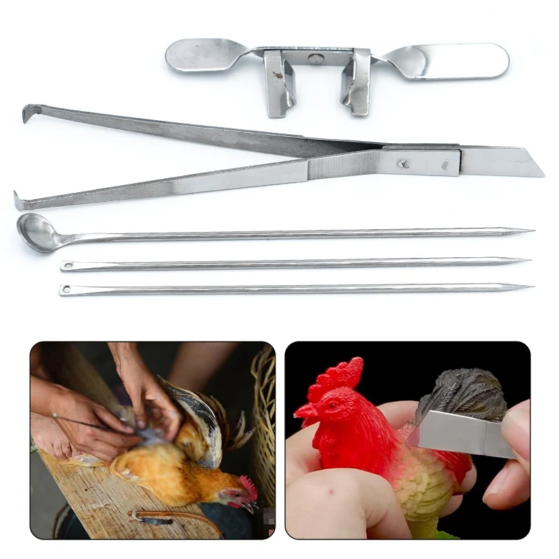 1Set Chicken Castratioin Capon Kit Tools Cock Rooster Caponizing Caponize Instrument For Adult Chicken Day Old Chick