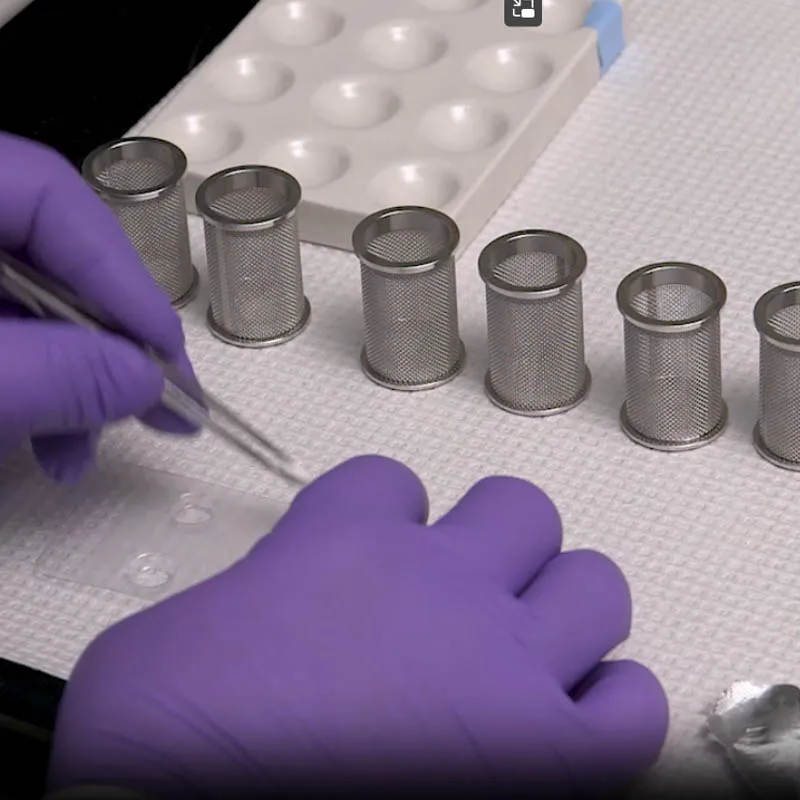 Pagaia rotante per cestello per test di dissuzione per compresse standardizzate Compendia per apparecchi per test di dissuzione per compresse da laboratorio