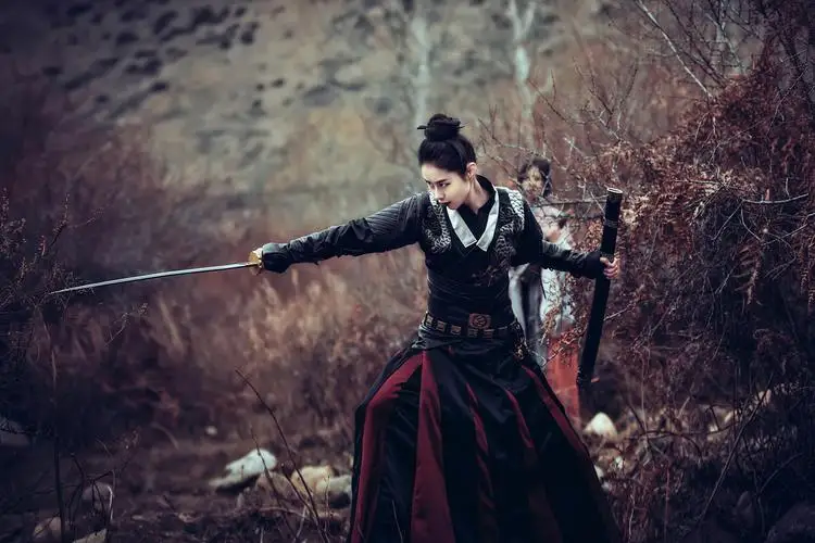 

Ancient Jinyiwei Brotherhood of Blades Sword Prop Cosplay Halloween Christmas Party Props for Comic Show