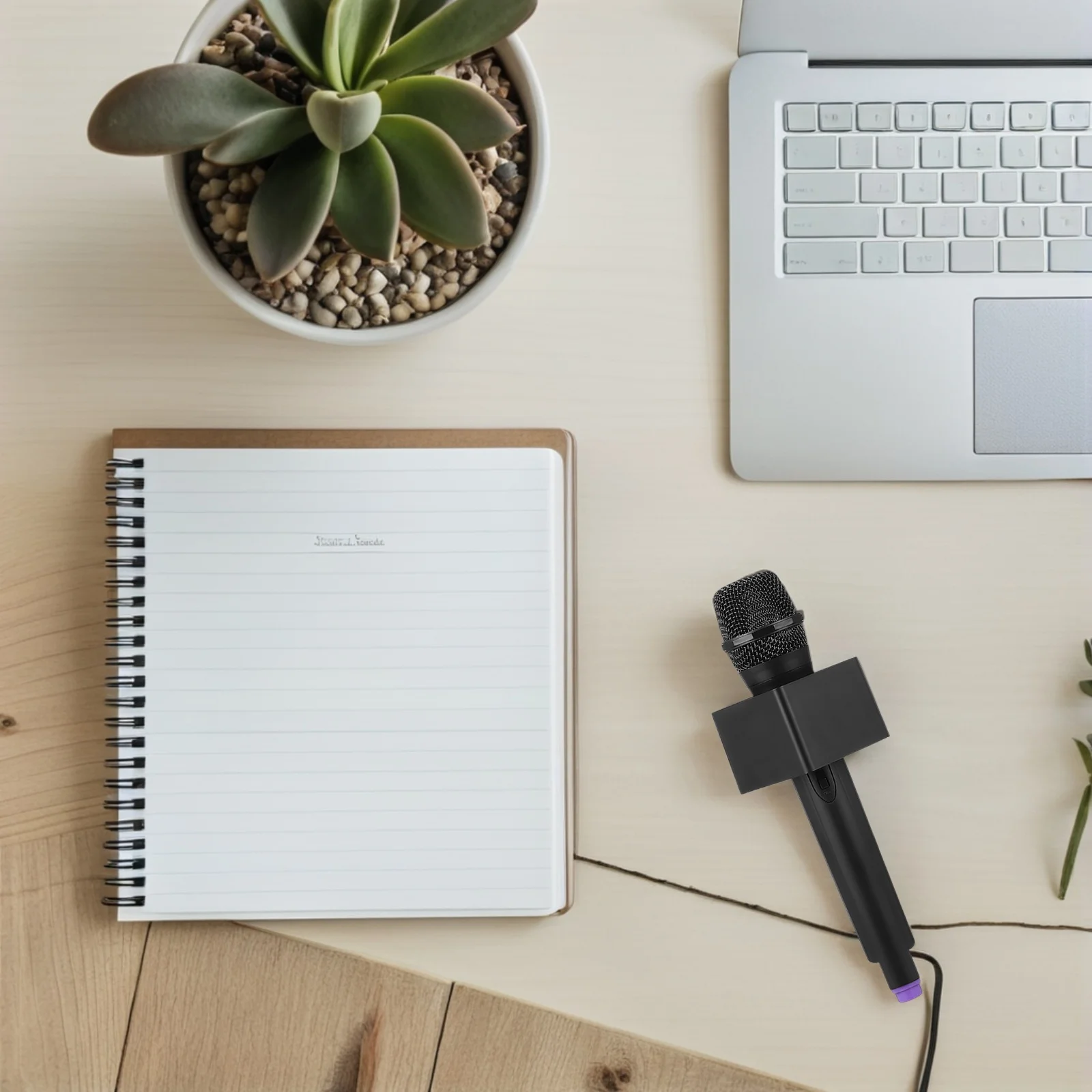 

Fake Microphone Toy Prop Party Mini Small Pretend Flag Station Play Role-Play Performance Stage Toddler Kids Reusable