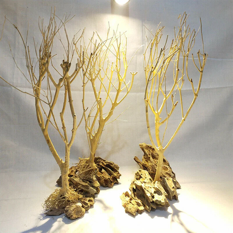 Natural Moss Tree Fish Tank Supplies Decor Aquarium Fish Accessories Natural Wooden Driftwood Branches for Aquarium Decoration