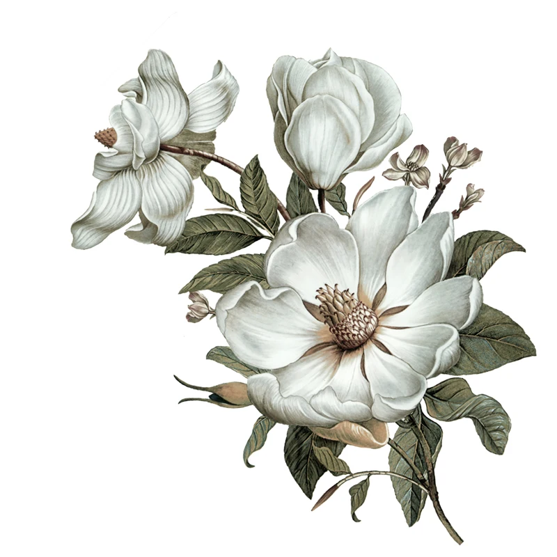 T402# Flowers Wall Sticker Classical Magnolia Bathroom Toilet Decor Living Room Cabinet Refrigerator Home Decoration Decals