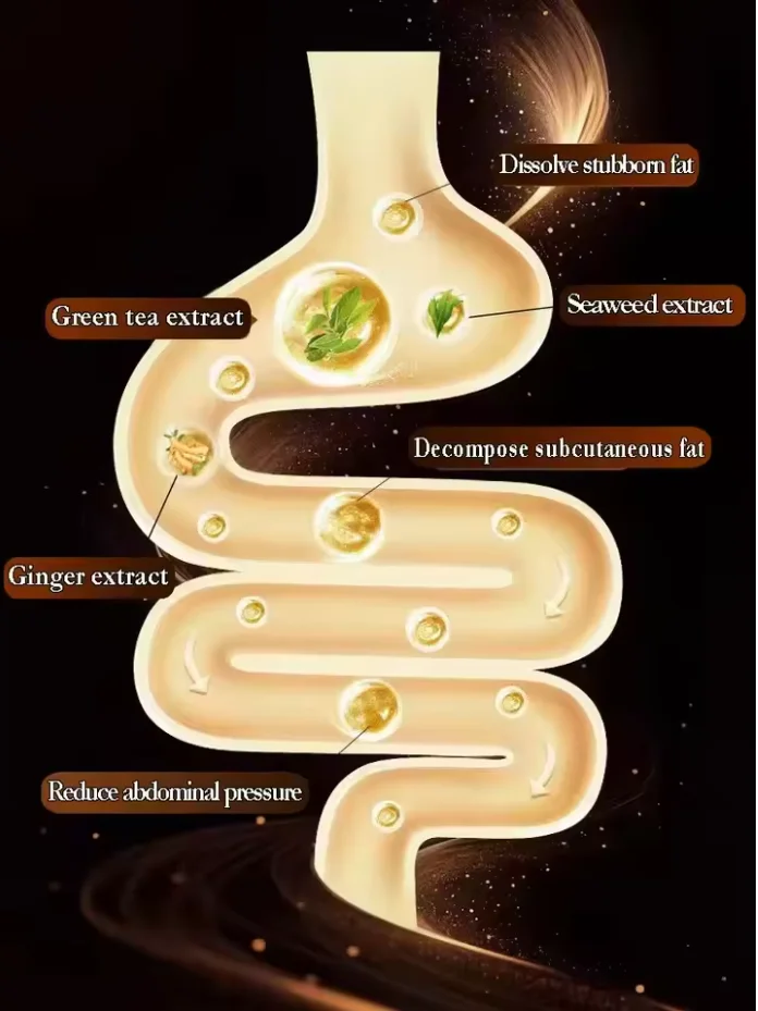 30 Stück 99 % der Beispiele bereichern die körperkontur innerhalb eines Monats