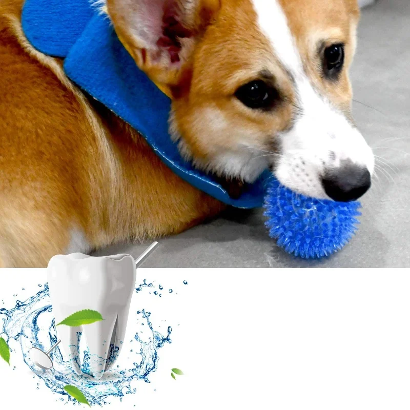Thumbnail 2 - #4 Trending Puppy Chew Toys Right Now