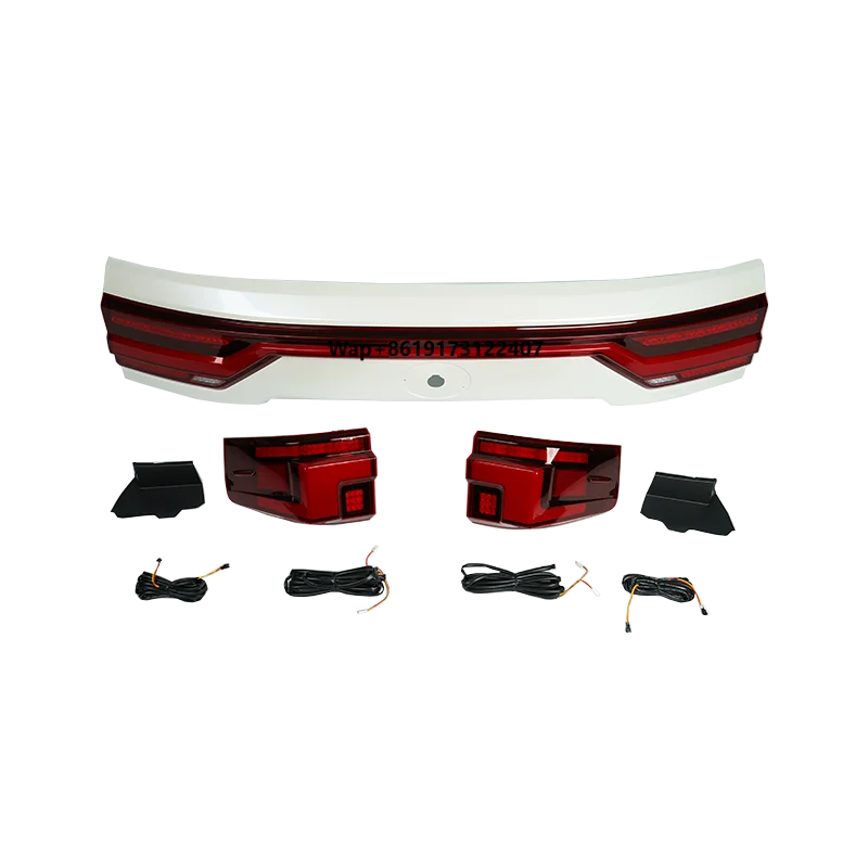 

DJZG Running Through Tail Light for LC300