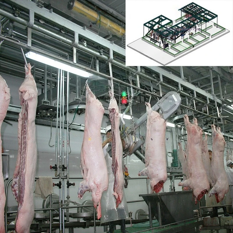 Complete 50 -100 Pig Per Day Small Abattoir Equipment for Pork Sow Butcher Slaughter Machine Mini Slaughterhouse