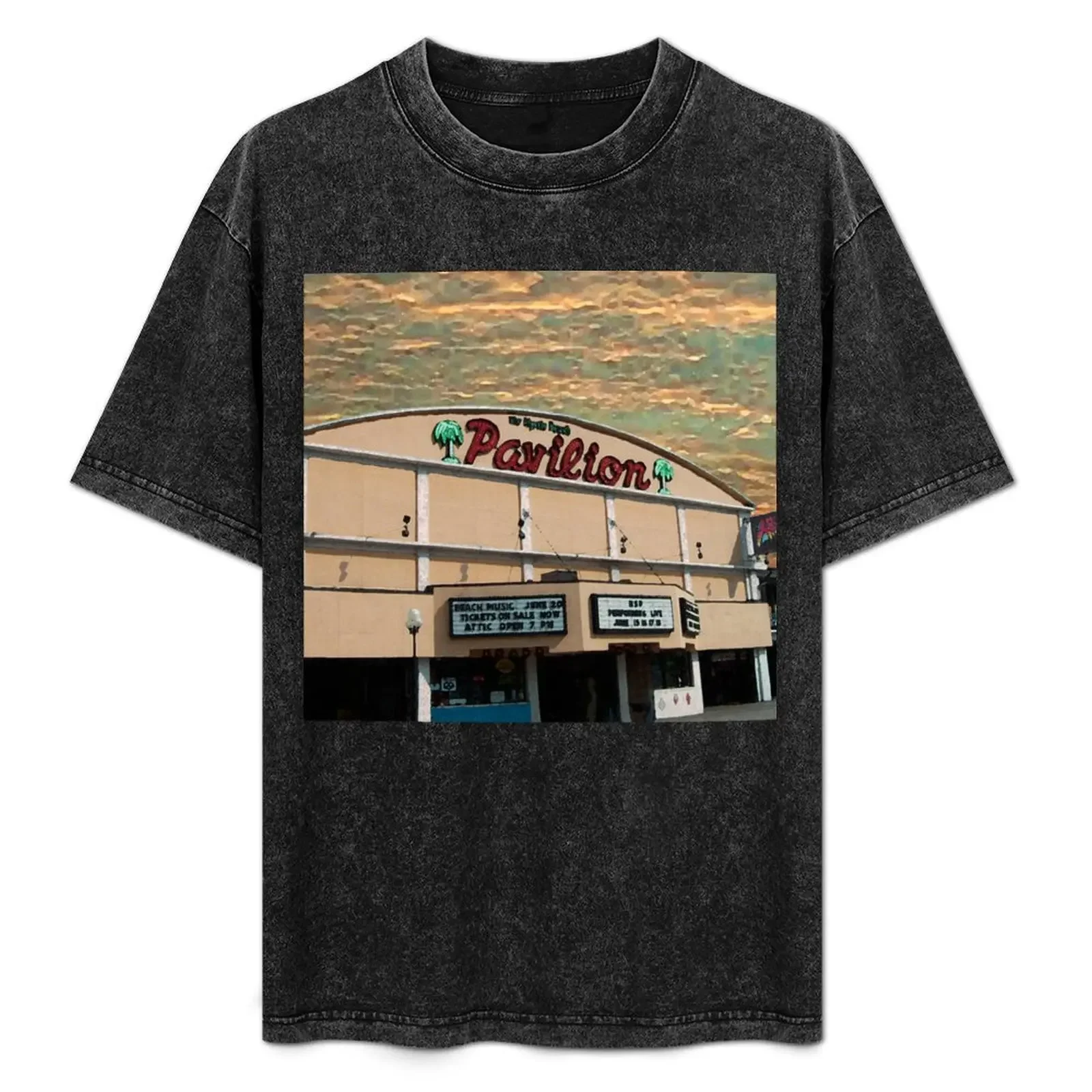 

Pavilion T-Shirt Breathable Gym Short Sleeve T-Shirt