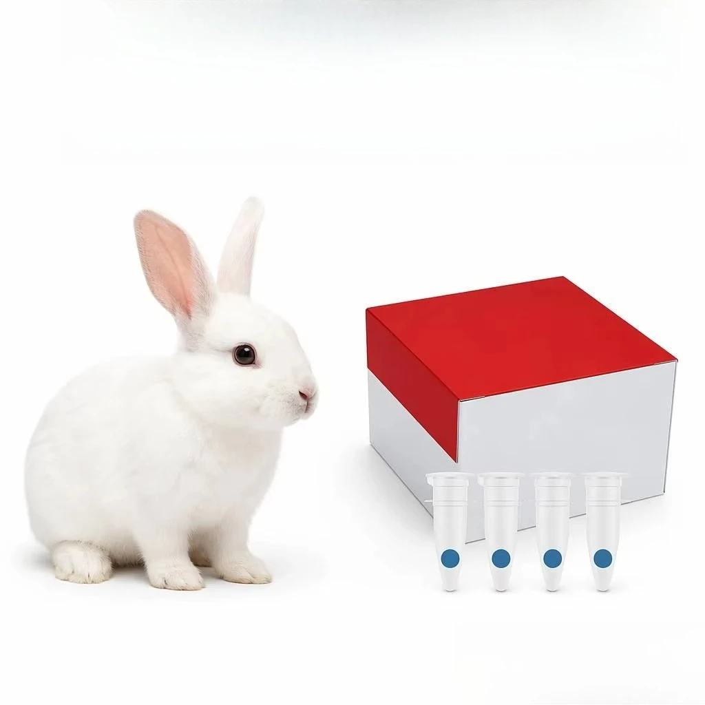 Pet care Rabbit hemorrhagic fever (RHD) PCR nucleic acid test kit CE certification Class II farm Pet hospital Accurate