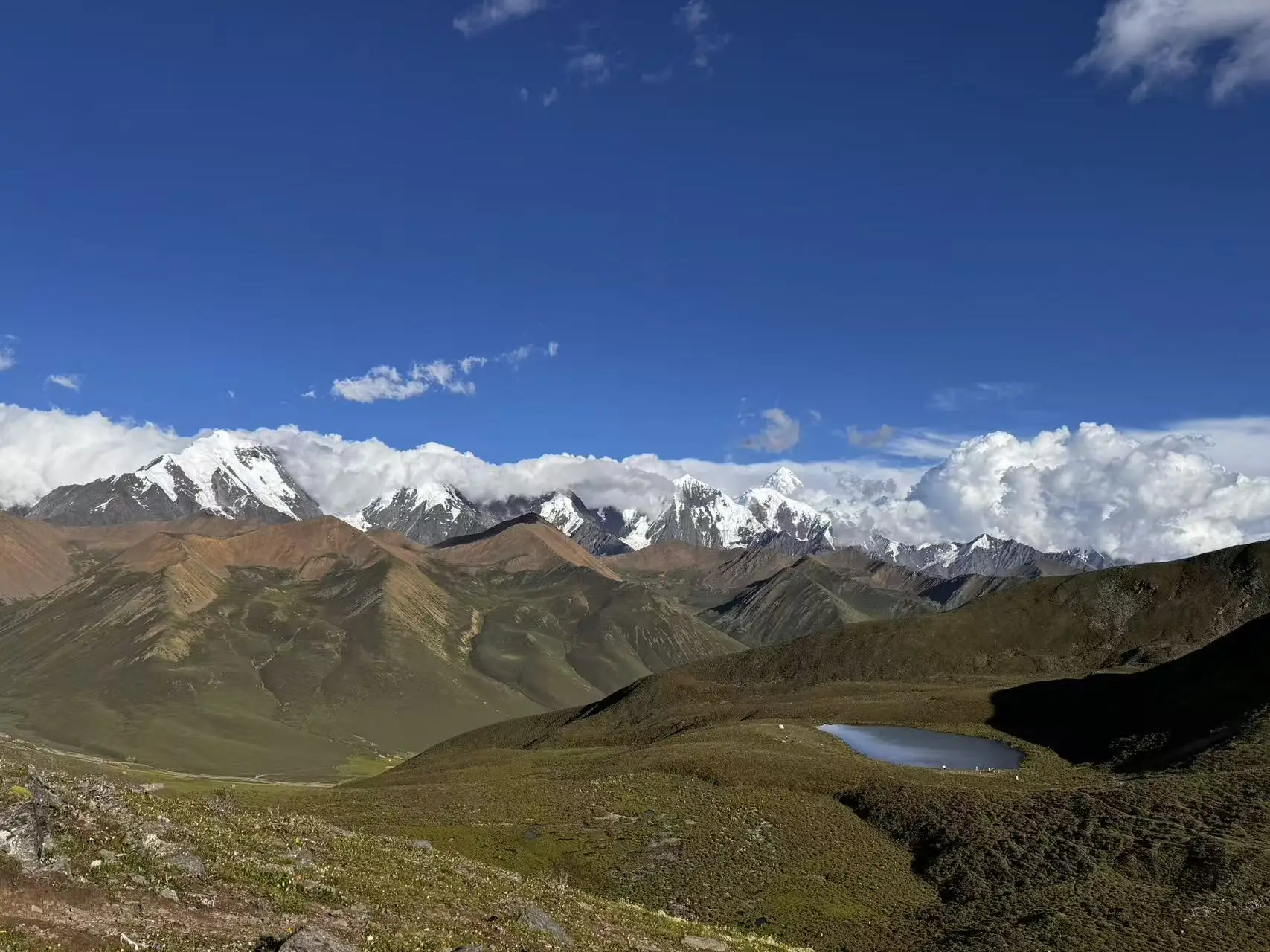 5 Broches de Personajes Lindos de Anime Mafalda, Pin Esmaltado Individual, Joyería para Ropa y Mochilas, Accesorios de Metal, Regalo