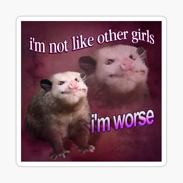 I Am Not Like Other Girls I Am Worse Poss  Stickers for Decorations Decor  Cute Cartoon Kid Water Bottles Art Living Room