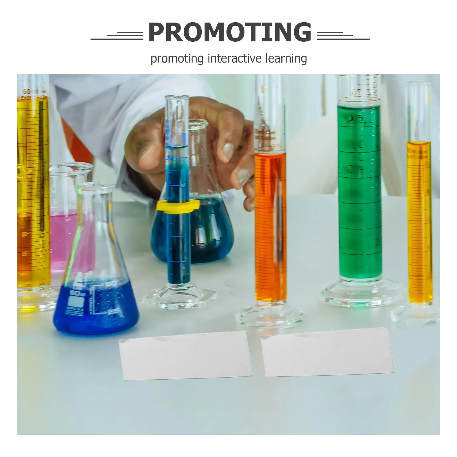 Feuilles d'expérimentation de fruits, 10 pièces, matériel de projet scientifique, fournitures d'expérimentation d'enseignement pour l'apprentissage