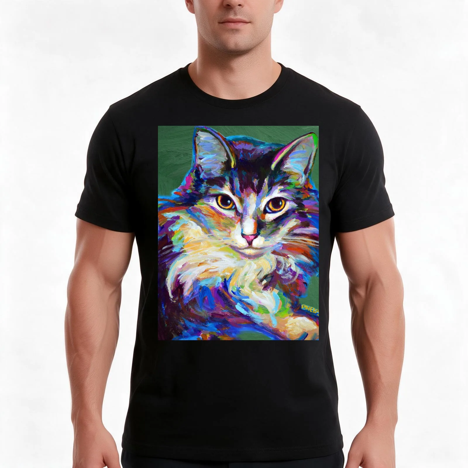Cute Ragdoll Cat on Green T-Shirt, Summer Casual Cotton Tee, Oversized Streetwear Tops, Vintage Graphic Print, Unisex Men Women
