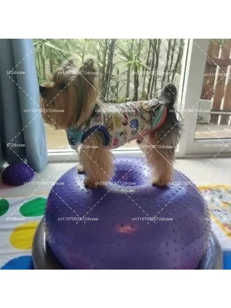Interactive Dog Donut Ball for Rehabilitation & Core Muscle Strength Training