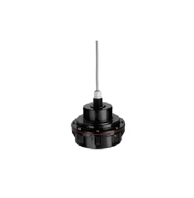 Instrumento de Nivel Endress+Hauser FDU83-RG3, Medición Continua Ultrasónica, Sin Contacto
