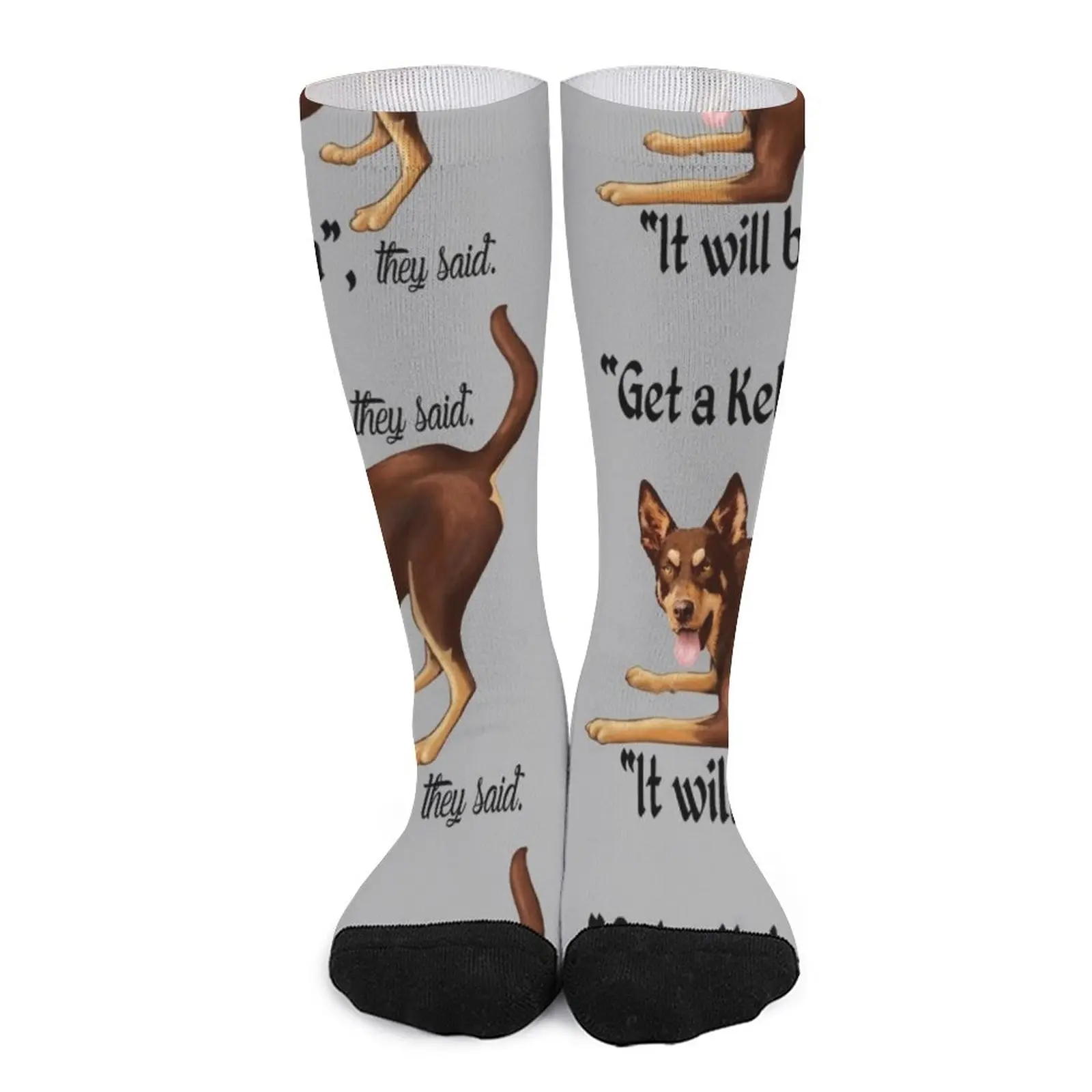 

Get a Kelpie - it will be fun! Socks socks ladies Men sock Children's socks