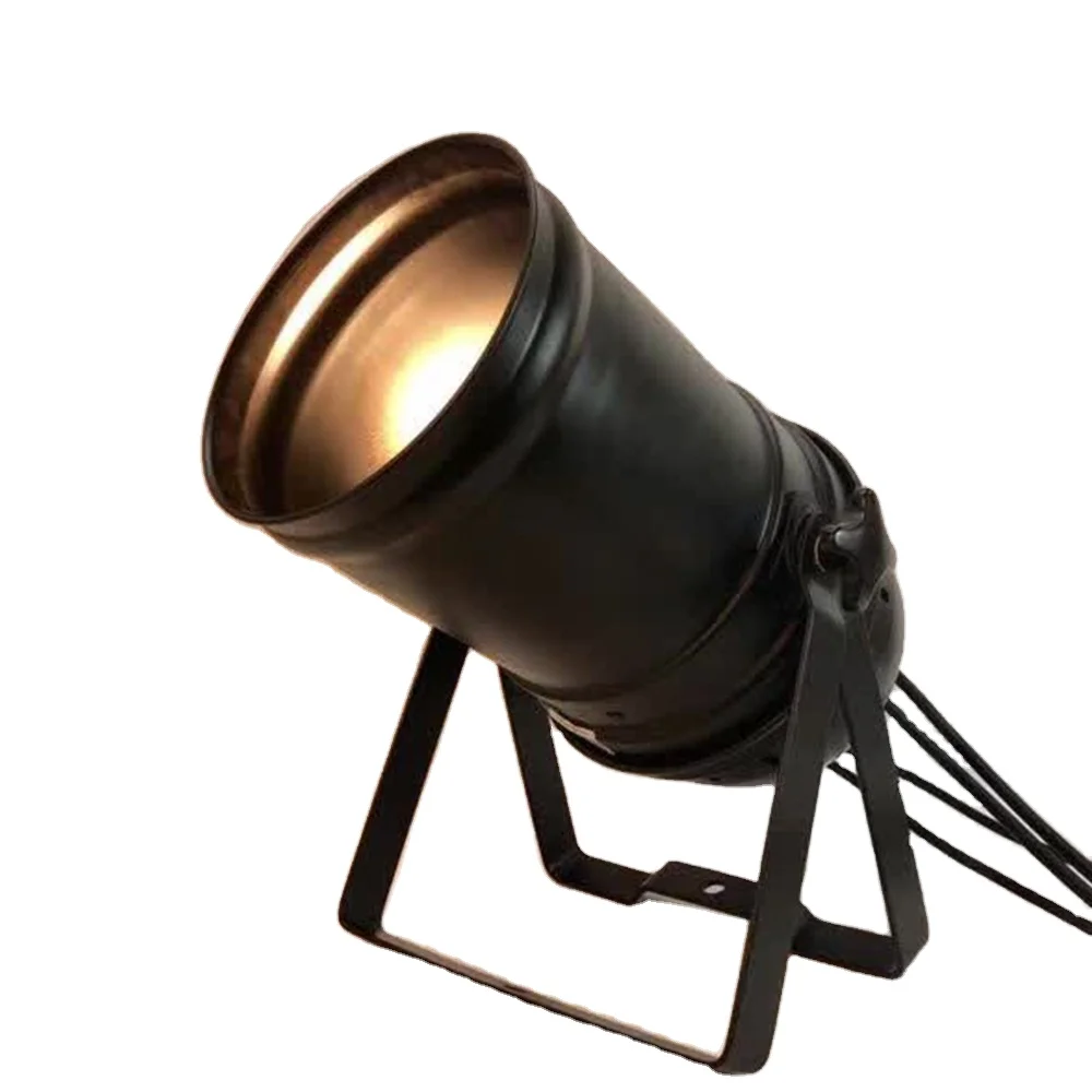 

OEM ODM Professional Manufacturer 200W COB Par Light Zoom