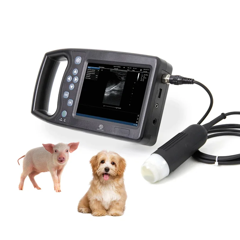 First Doctor Medical Equipment Veterinary Ultrasound animal clinic use Anesthe  Ultrasound Machine M6