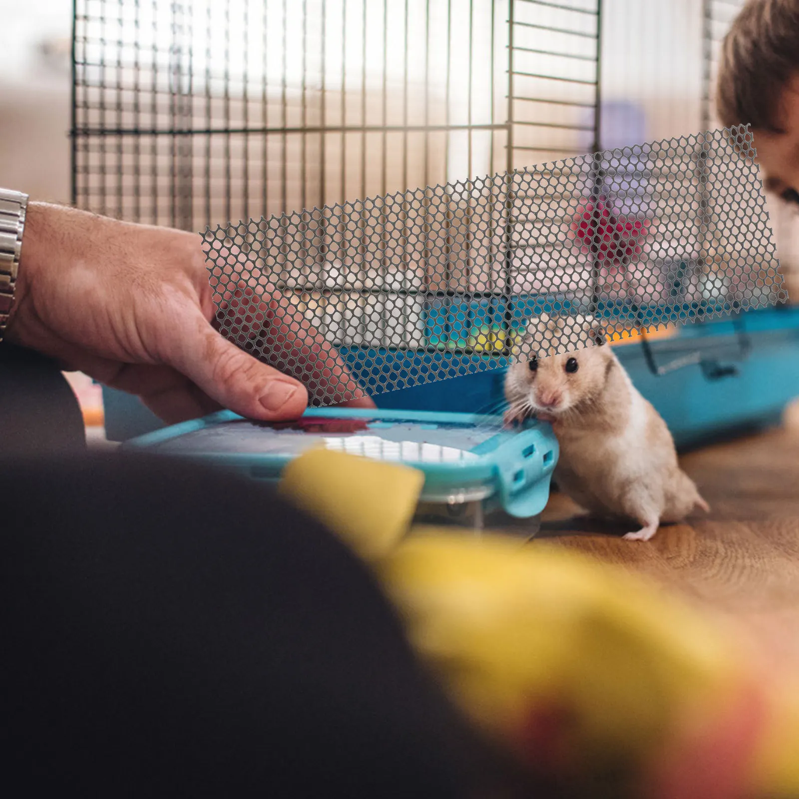 

1 Set Mini Hedgehog Running Wheel Trimming Strip Self-Cleaning Exercise Track For Pet Nail Care Grooming Tool Squirrels Hamsters