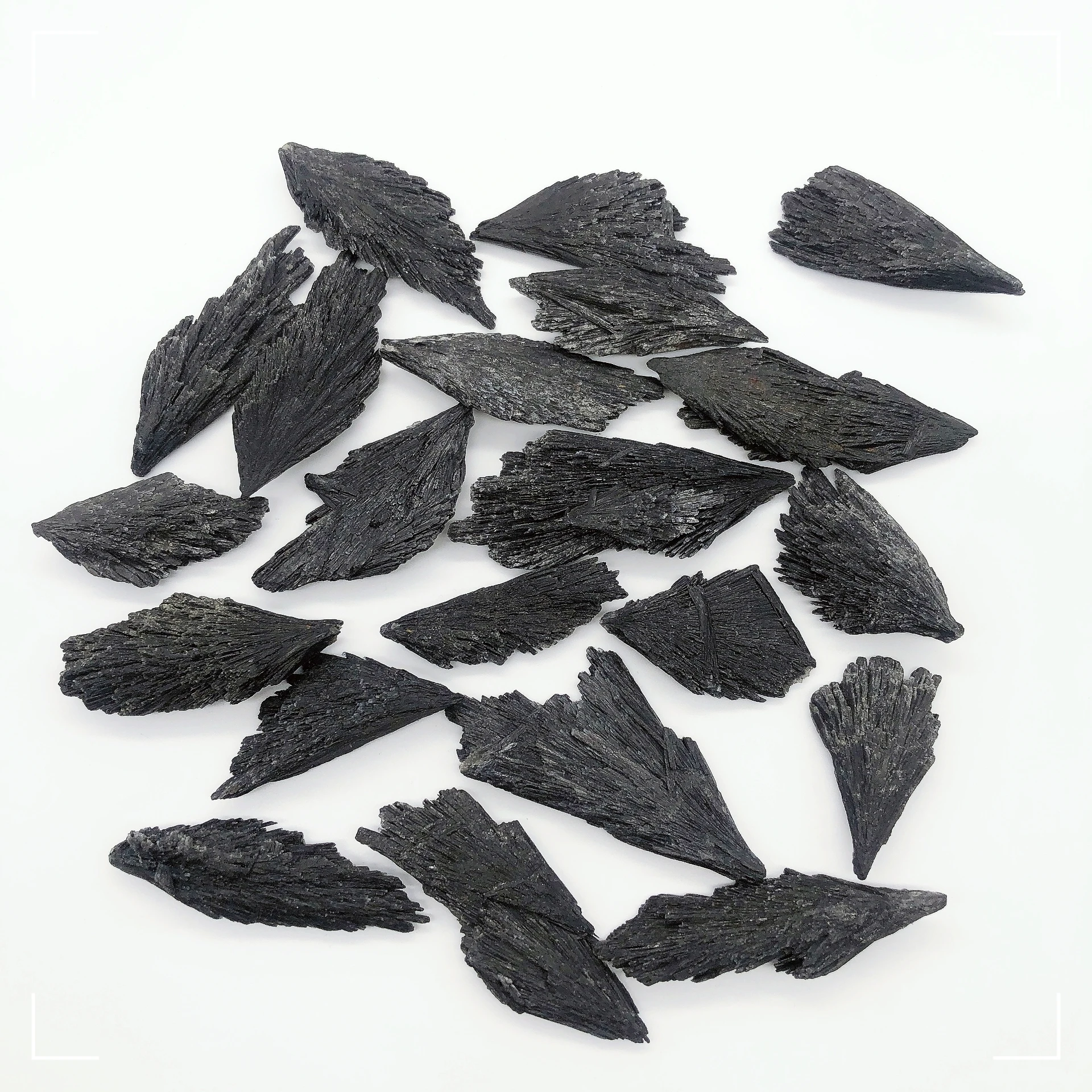 Natural Black Tourmaline Angel Feather Fan Rough Raw Stone Specimen Witches Broom Crystal Quartz Reiki Healing Home Decor Gift