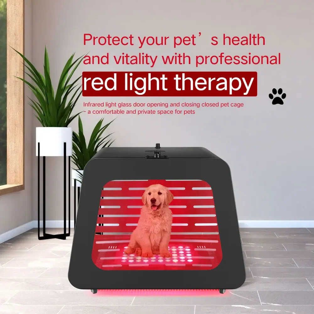 Azure PDT Infared Dog and Cat Health Carrier Kennel OEM ODM Red Light Therapy Bed House with Breathable Pet Mats Pads