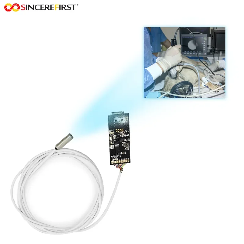 veterinary fixed focus steel shell 720p 1MP endoscope 3.9 mm small diameter endoscope camera module 4Pcs LED USB