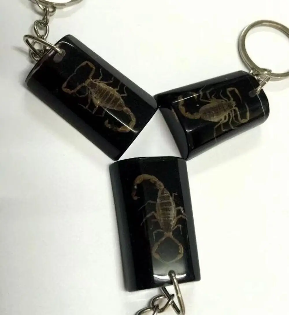 12 pcs Unique Keychain Real Scorpion Fashion Black Color Creative Resin  Jewelry