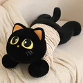 black brown t