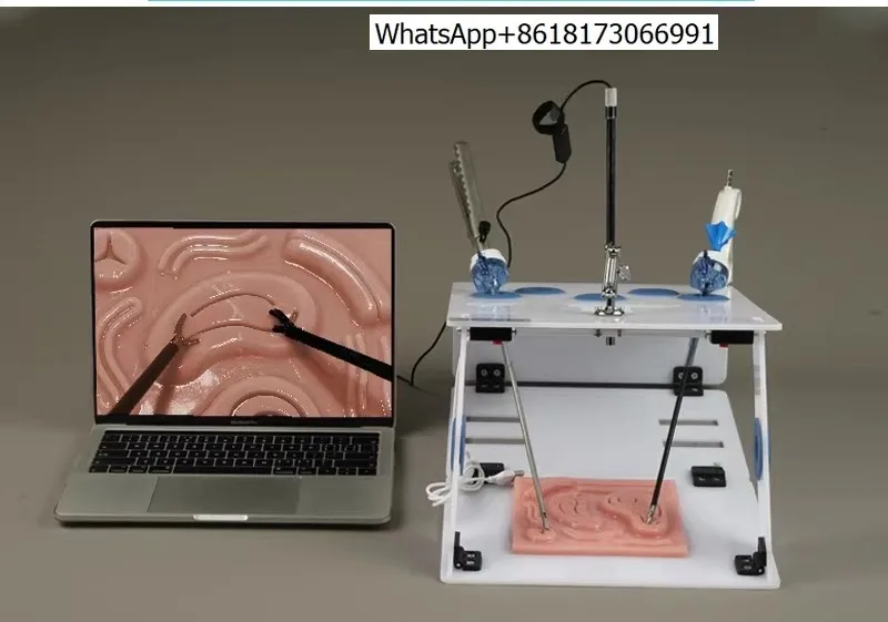 Surgery, Gynecology Thoracoscopic Laparoscopic Surgery Simulation Trainer, Endoscopic Practice Instrument