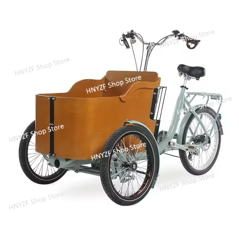 Pedal Tricycle Electric Auxiliary Oversized Storage Box Moped Human Bicycle Outdoor Camping